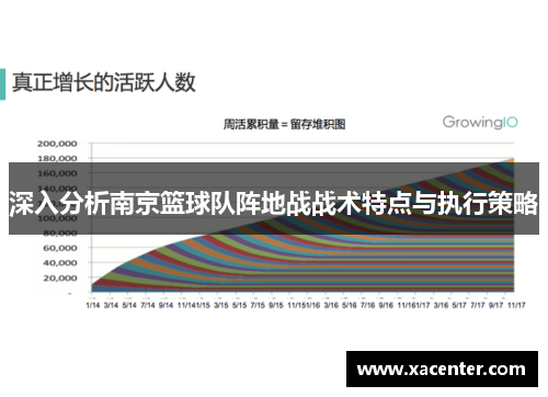 深入分析南京篮球队阵地战战术特点与执行策略